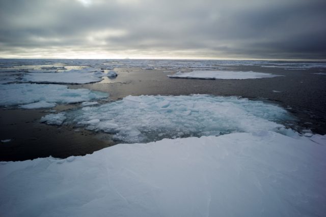 Unlikely creatures reveal the story of early Arctic seas - Scienceline