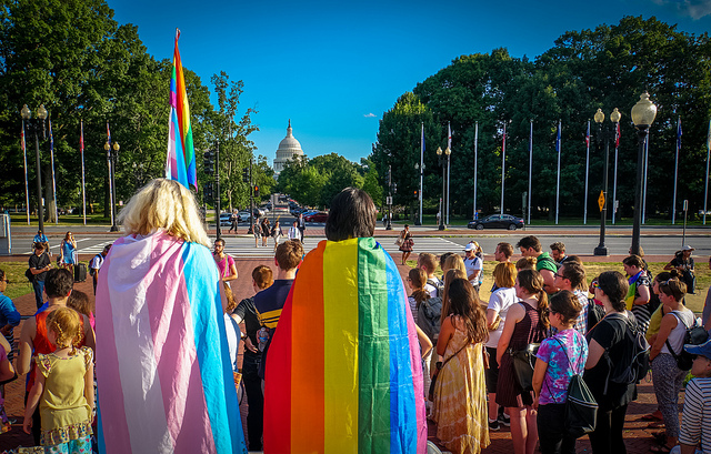A person wrapped in a transgender pride flag and a person wrapped in a rainbow flag stand in a crowd.