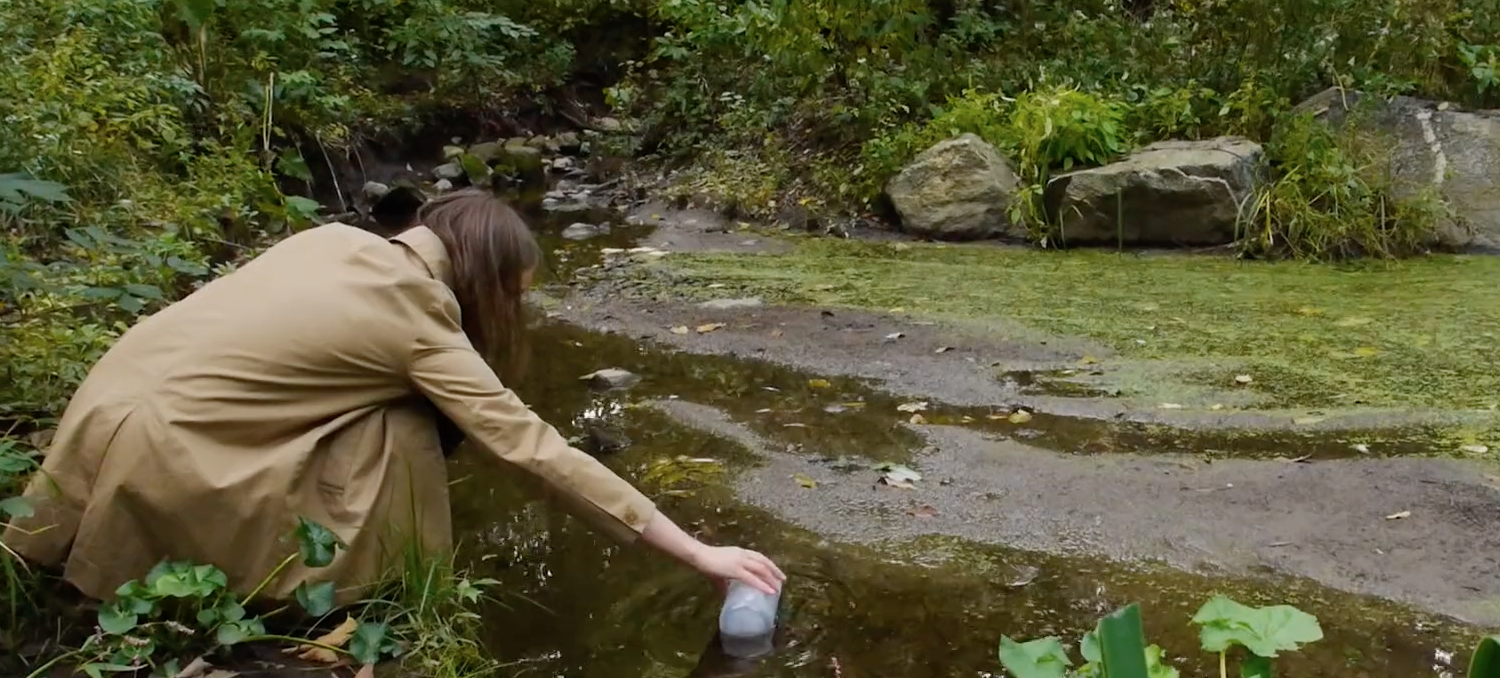 A microbiologist kneels to take a water sample with a plastic jar at a green, aglae-laden pond's edge.