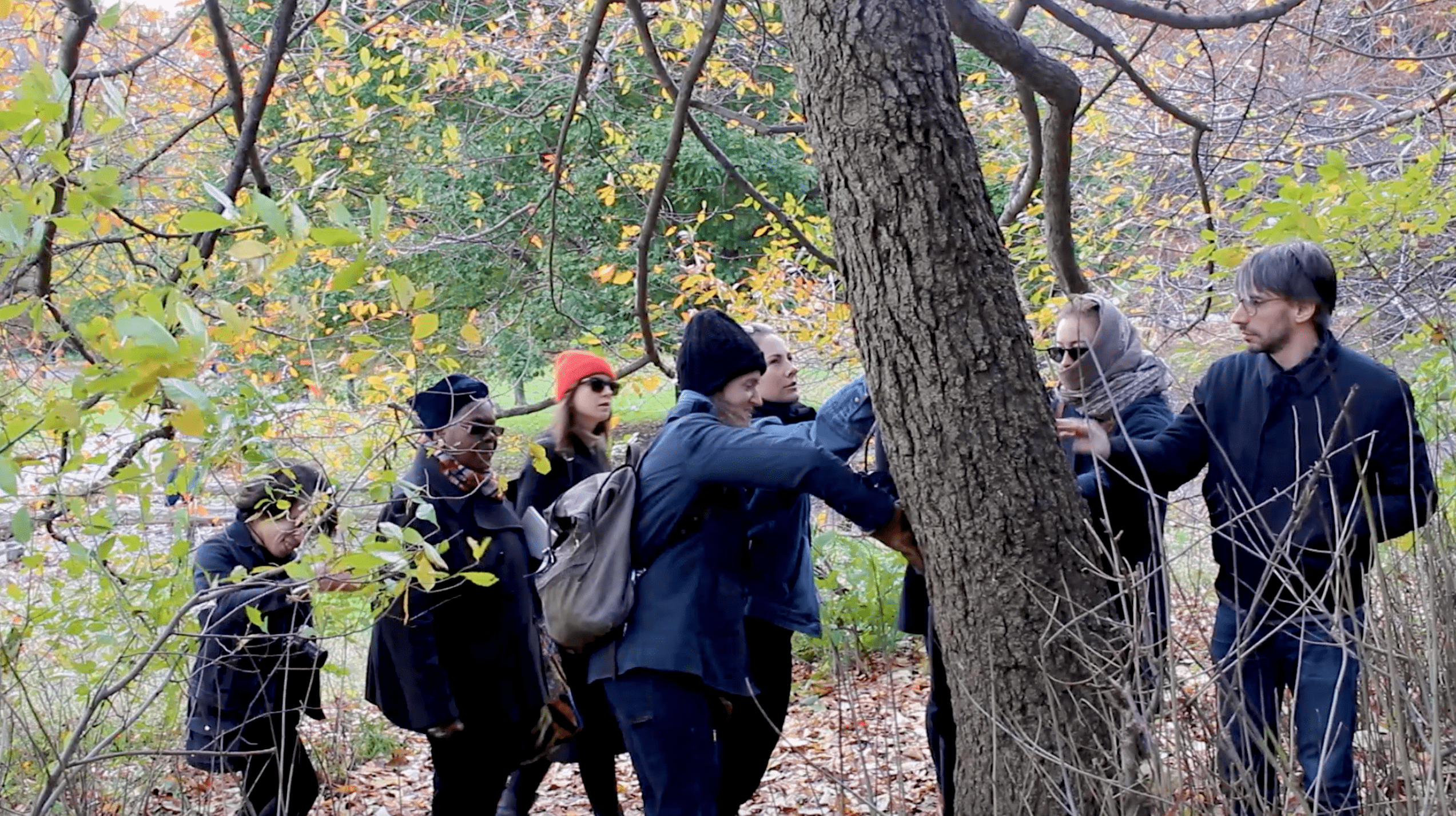 Nett and a group of her students are gathered around a tree in Prospect Park