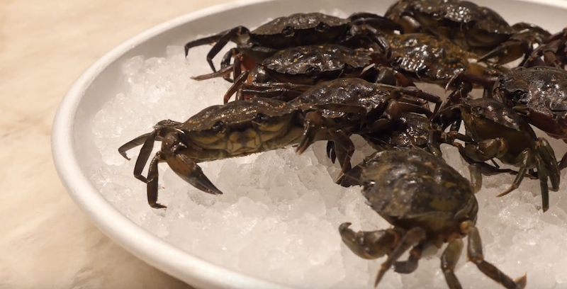 crabs in bowl of ice