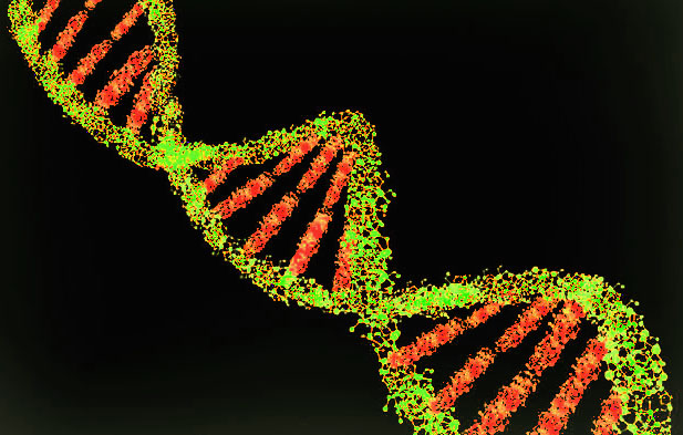 Molecular structure of DNA