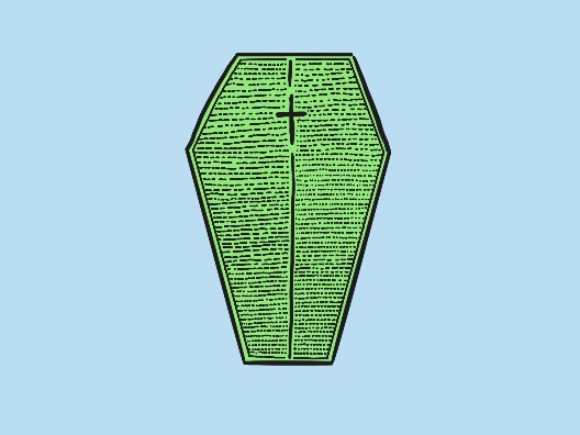 A diatom (a type of green algae) in the shape of a coffin.