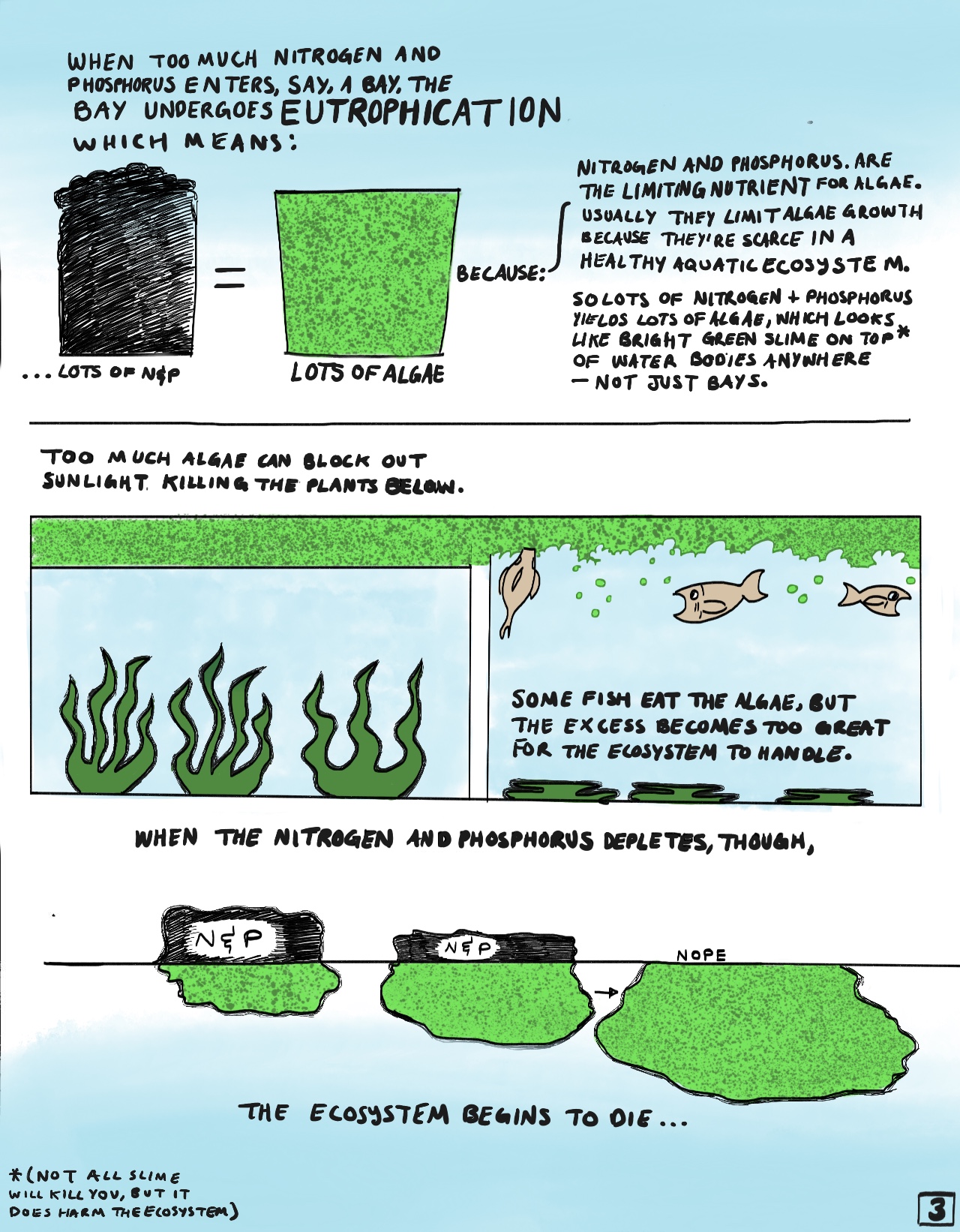 This page explains eutrophication, or when lots of nitrogen and phosphorus cause lots of algae to grow. Eutrophication is what causes a thick mat of bright green algae to sit on top of the surface of, say, a lake, which blocks sunlight for the aquatic plants below. Though fish eat algae, there's still far too much of it. The algae will use up all the nitrogen and phosphorus eventually, which is where problems really start. 