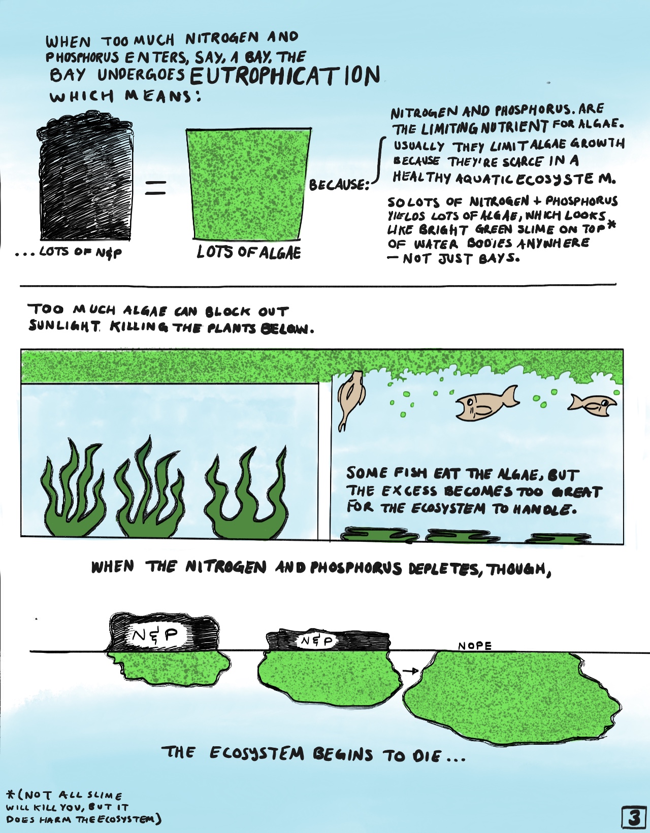 The Unexpected Truth About Algae And Decomposition