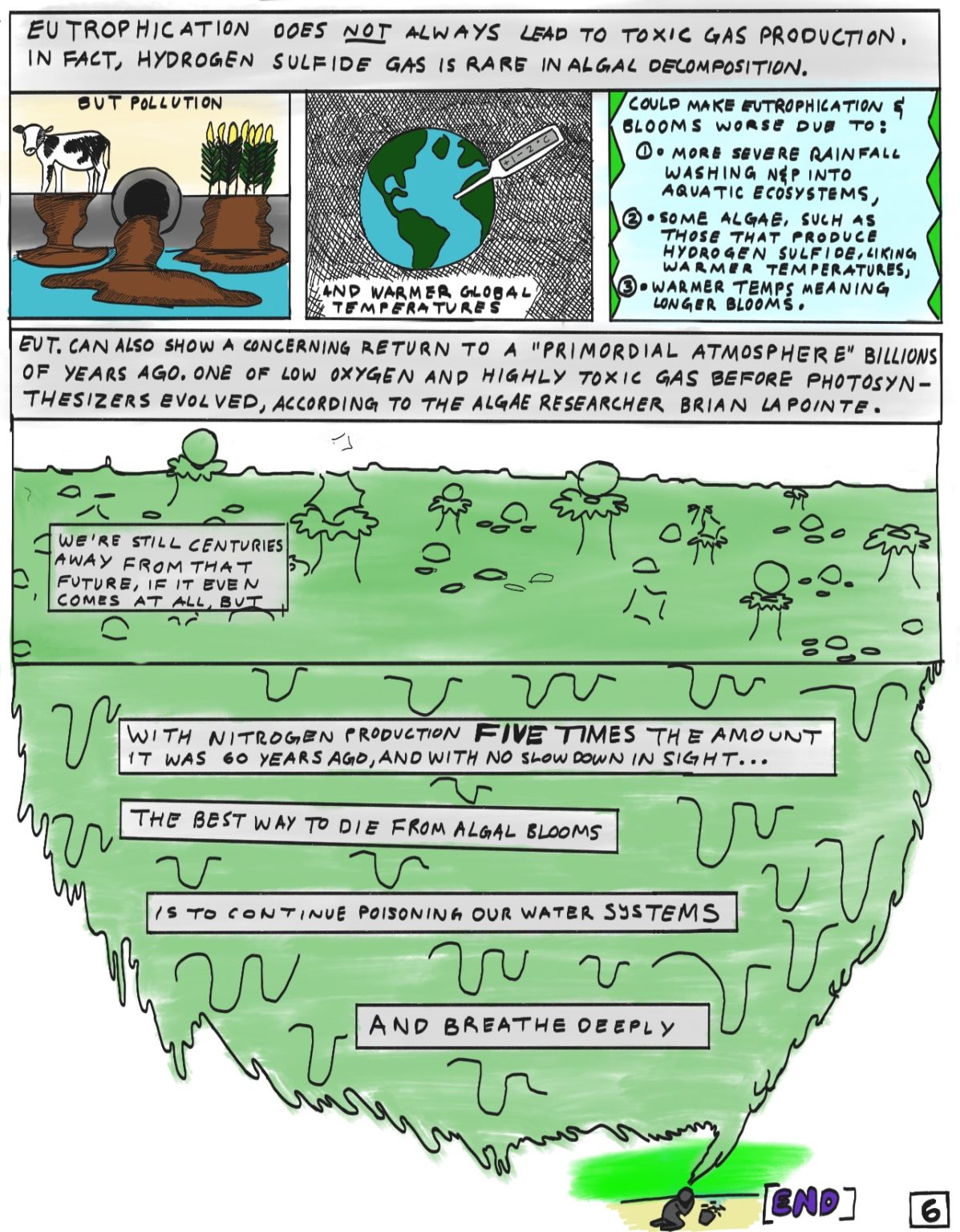 How to die from toxic algal blooms Scienceline