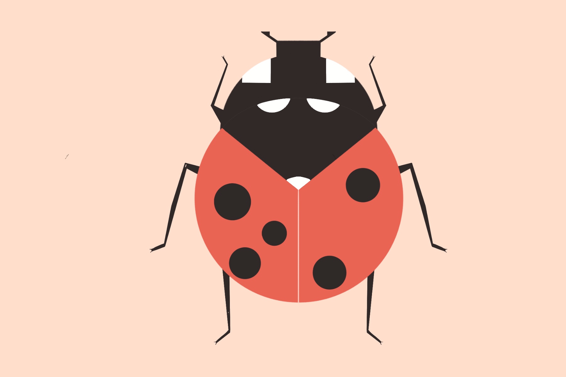 Graphic of a ladybug