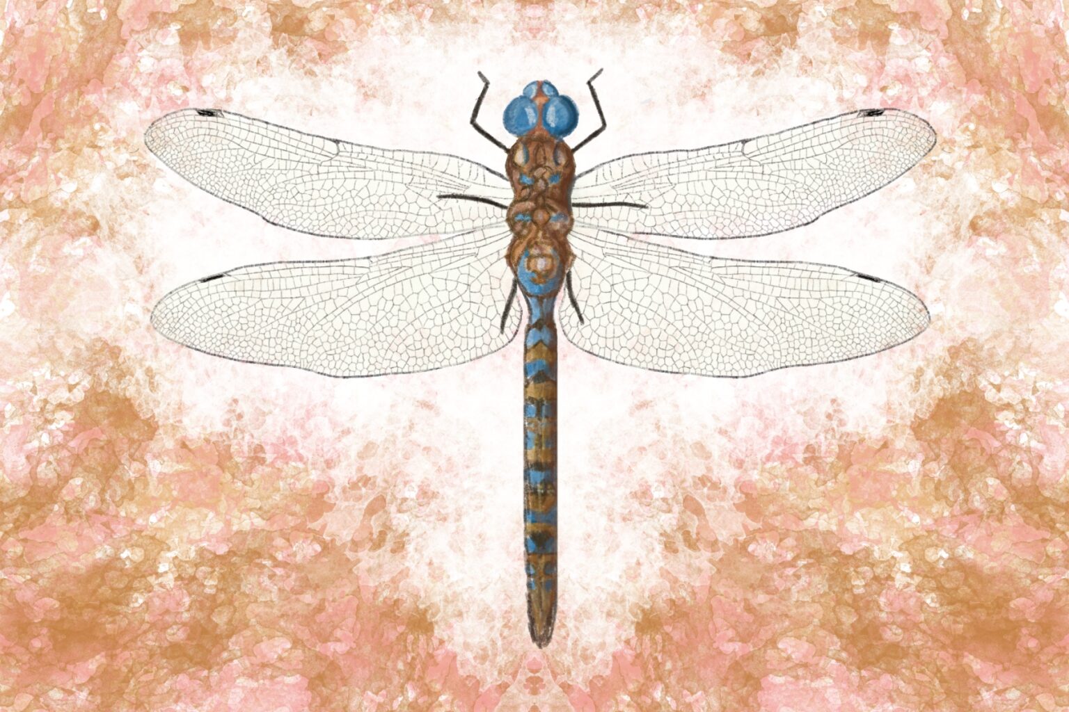 The Blug Dragonflies Scienceline
