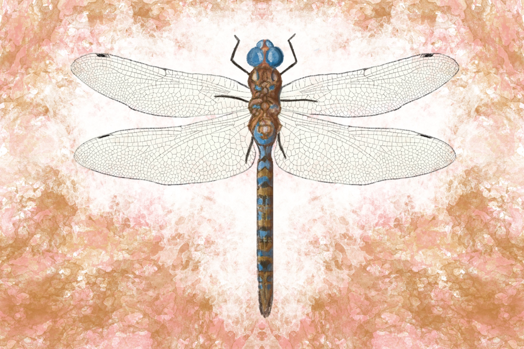 Illustration of a dragonfly.