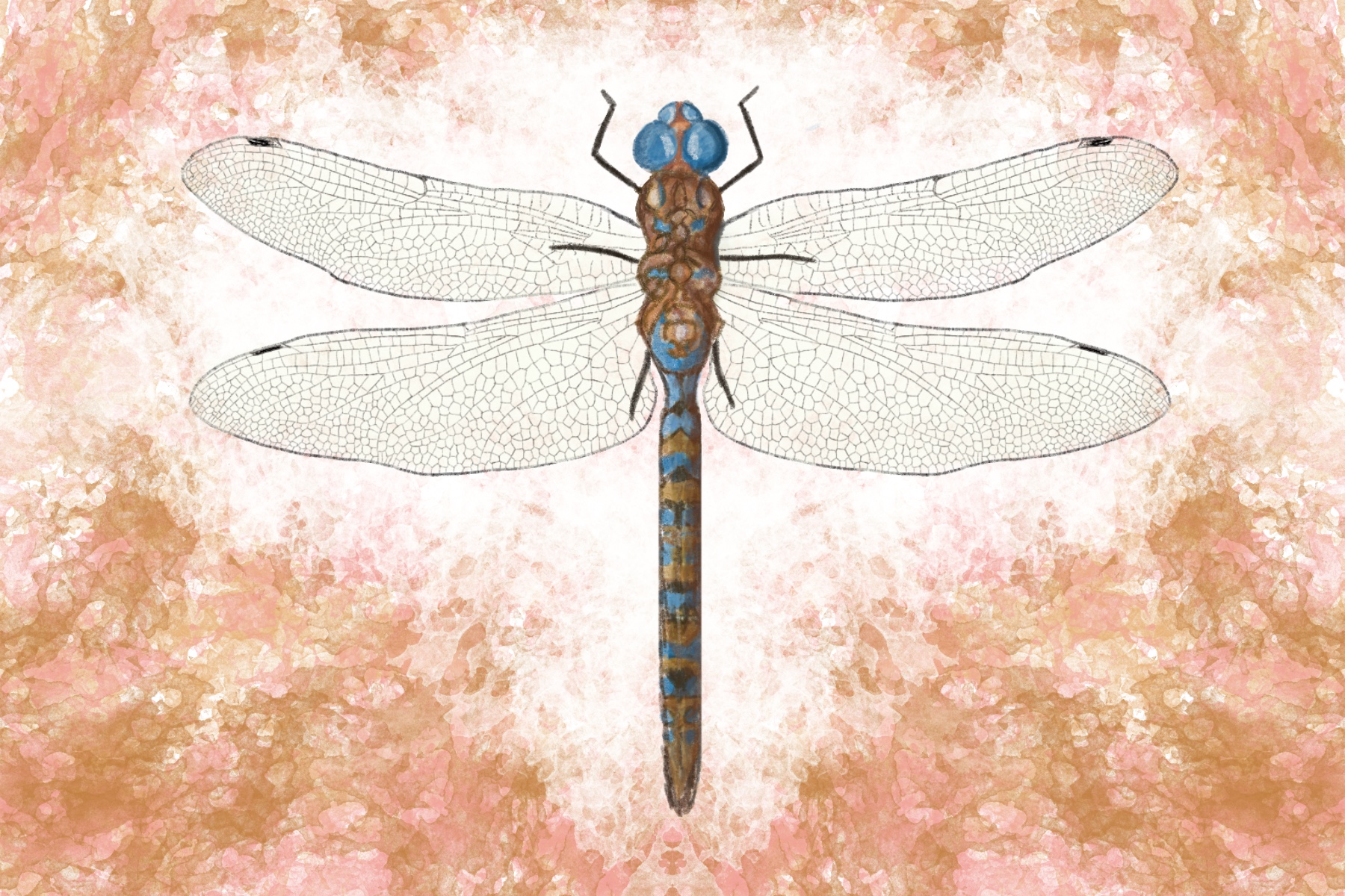 the-blug-dragonflies-scienceline