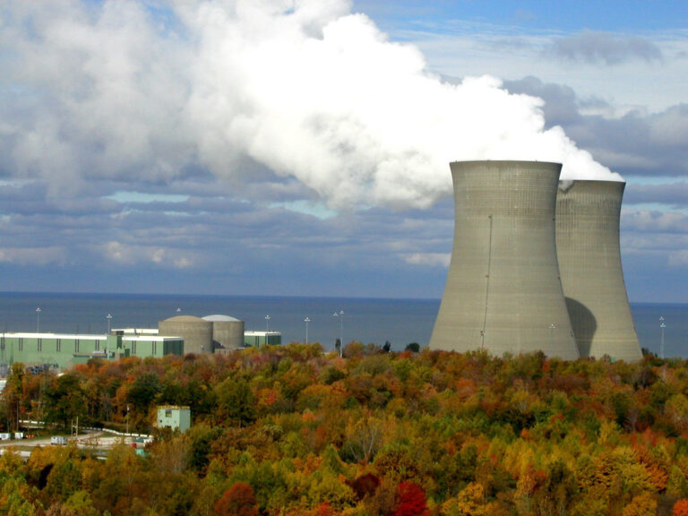 Biggest Nuclear Plant Companies