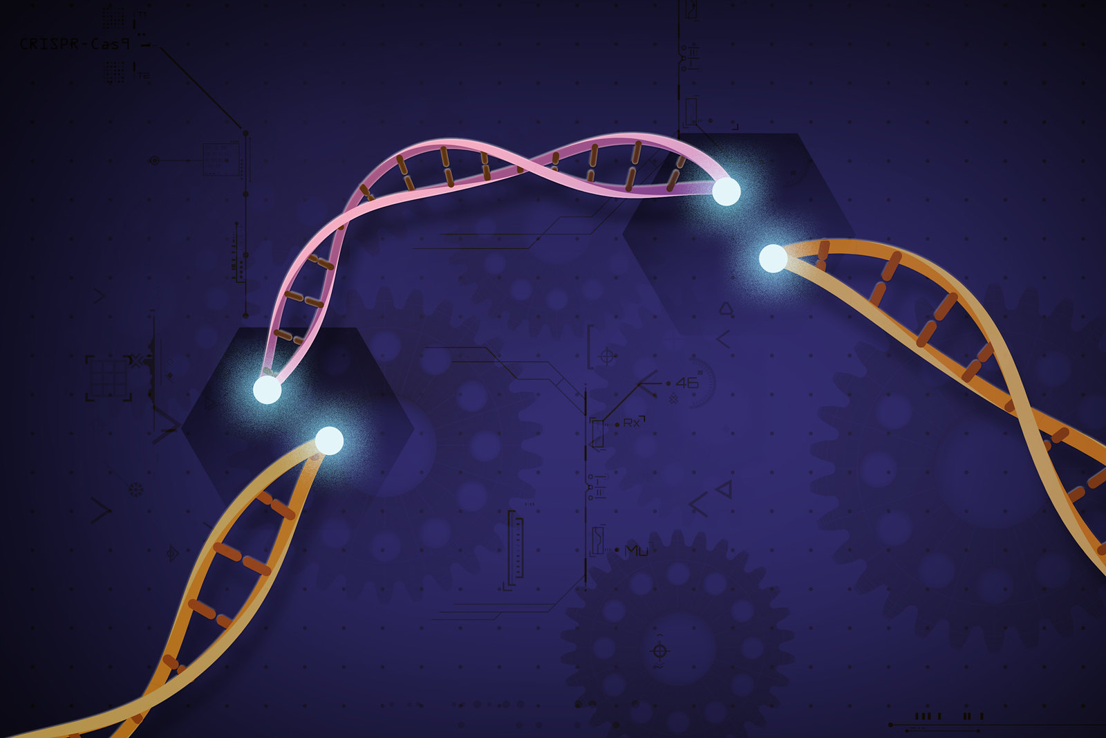 Ein Lichtschalter zum Schneiden von DNA