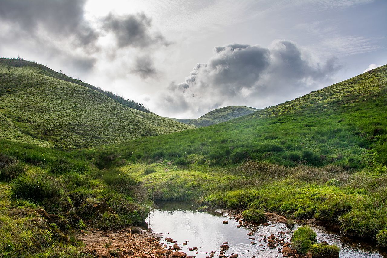 A green, grassy landscape with hills and a cloudy sky in the background, and a small pond in the foreground