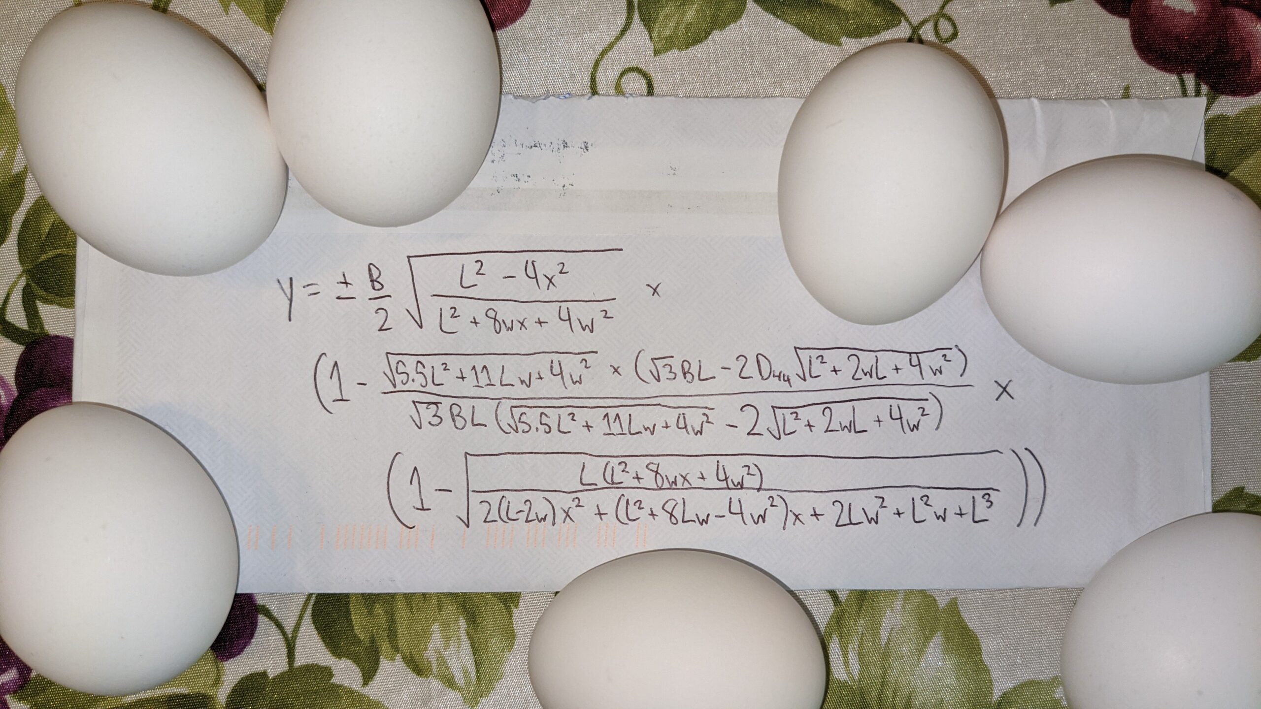 A long, handwritten equation surrounded by white chicken eggs