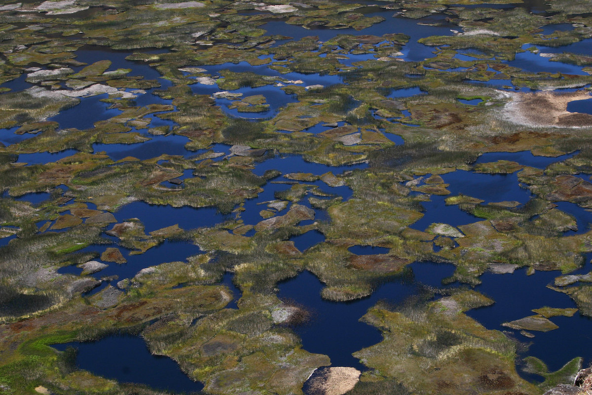 Mossy peatlands interspersed with still water