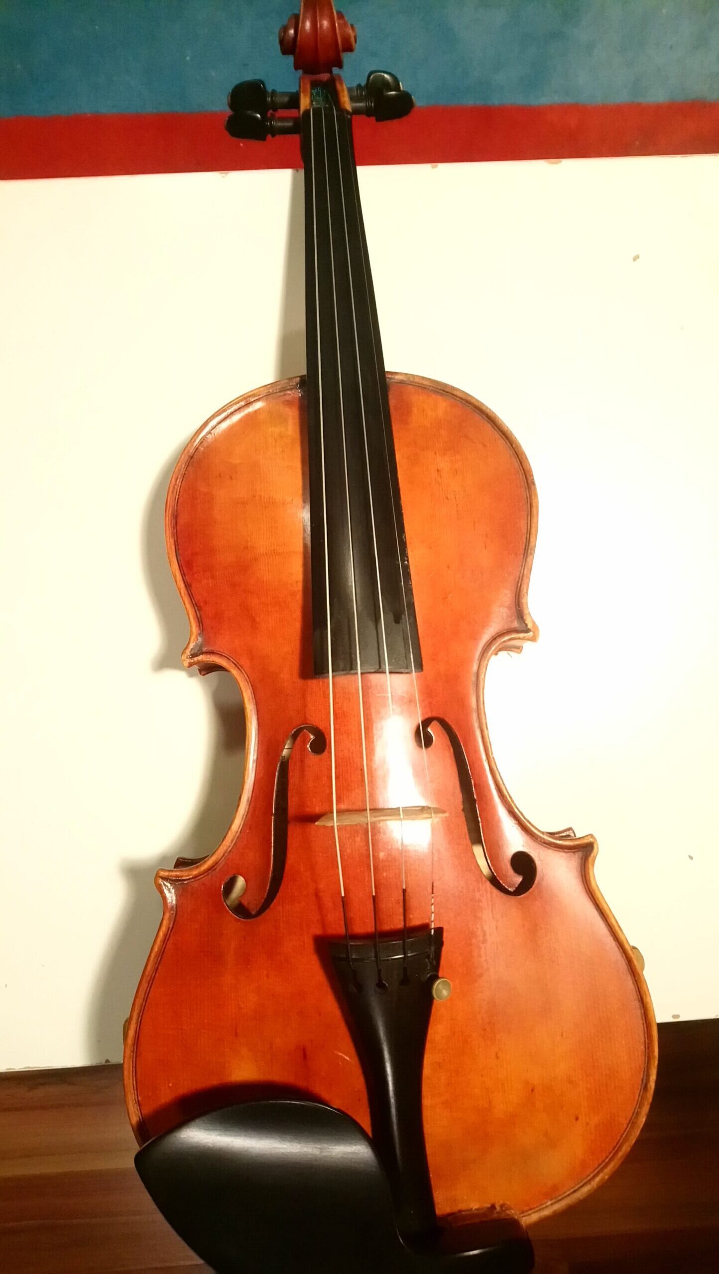 Violin treated with fungus is set against a wall