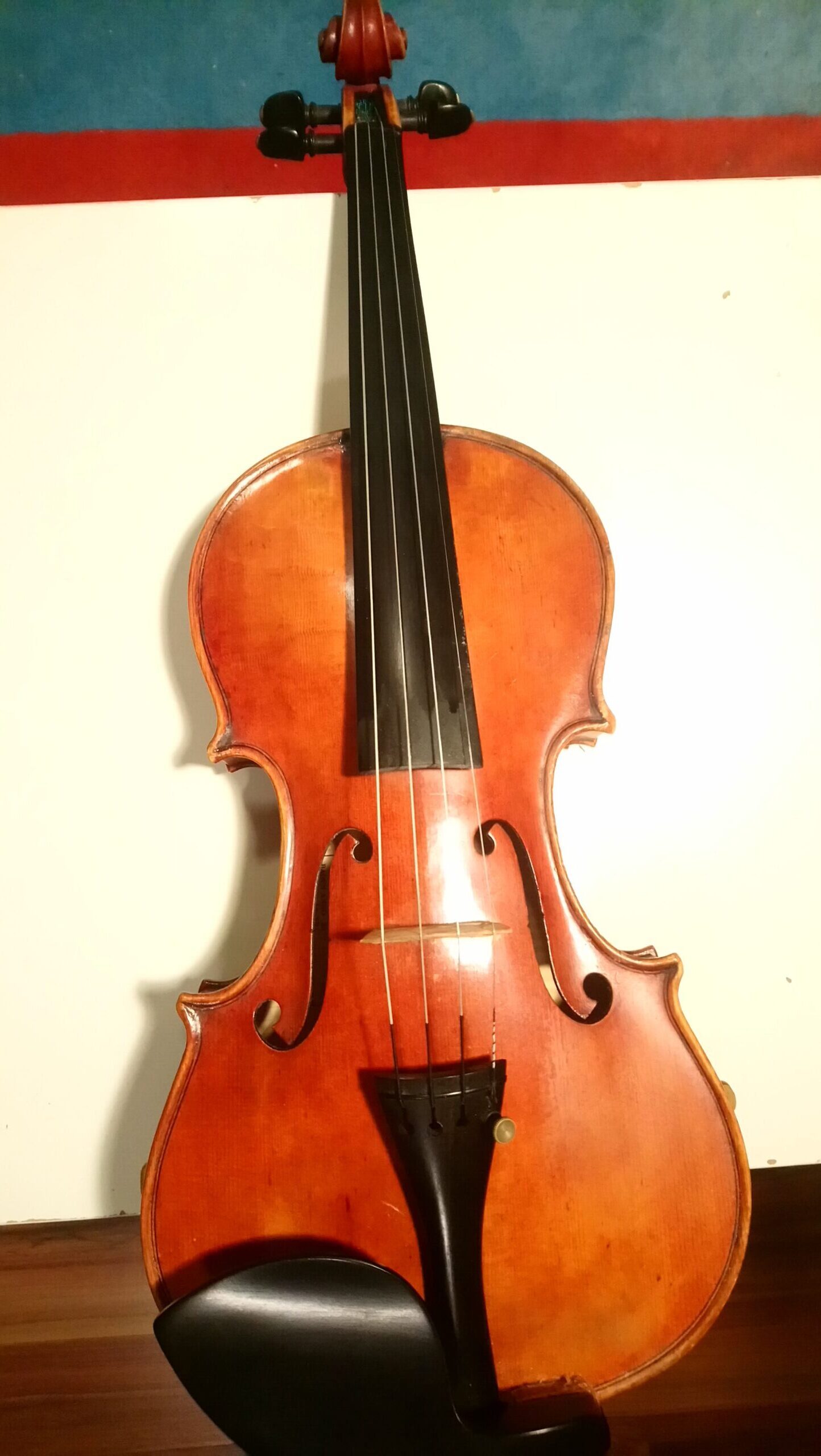 violin musical instruments