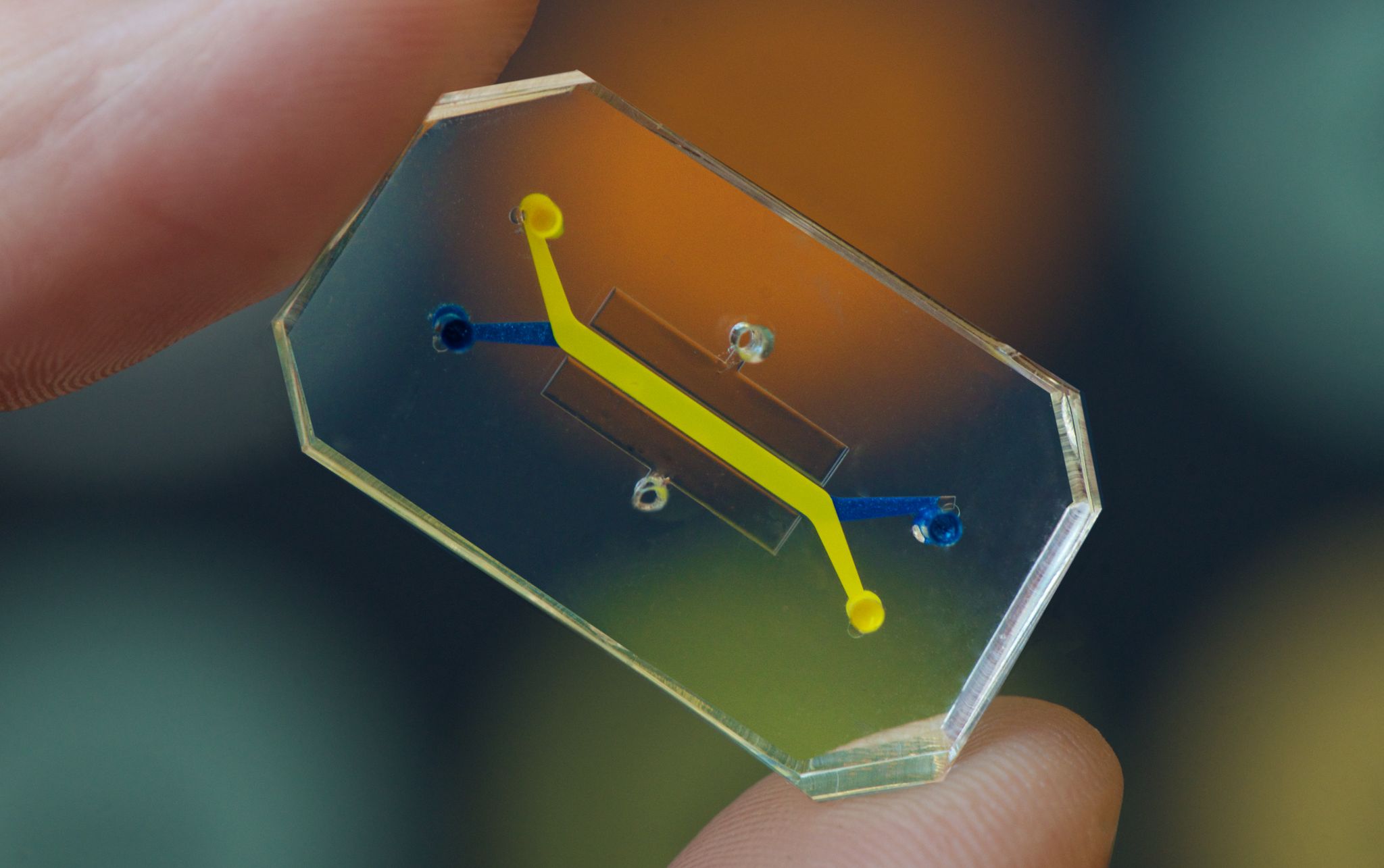 Tiny, clear chip with yellow and blue lines running through it is held between two fingers