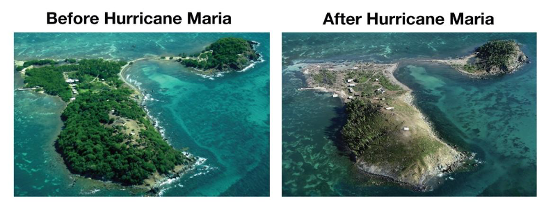Cayo Santiago island before and after hurricane maria. Before, there are many trees. After, little vegetation and greens.