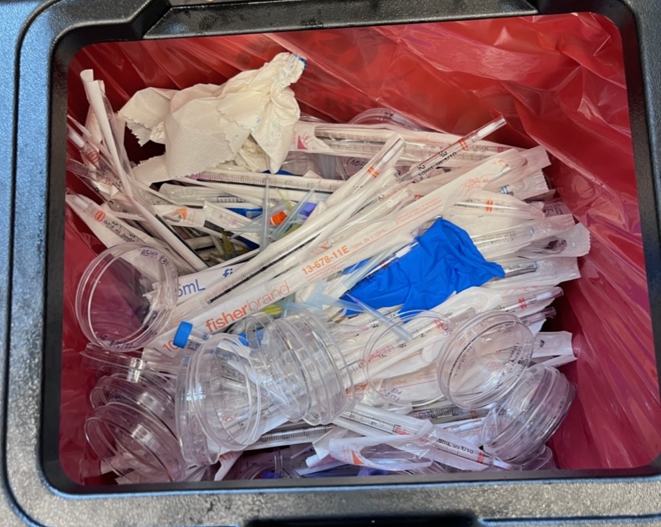 laboratory research pipettes and wrappers in a cell culture tissue bin