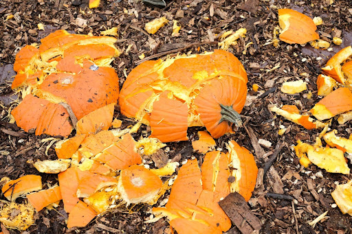 smashed pumpkins on soil