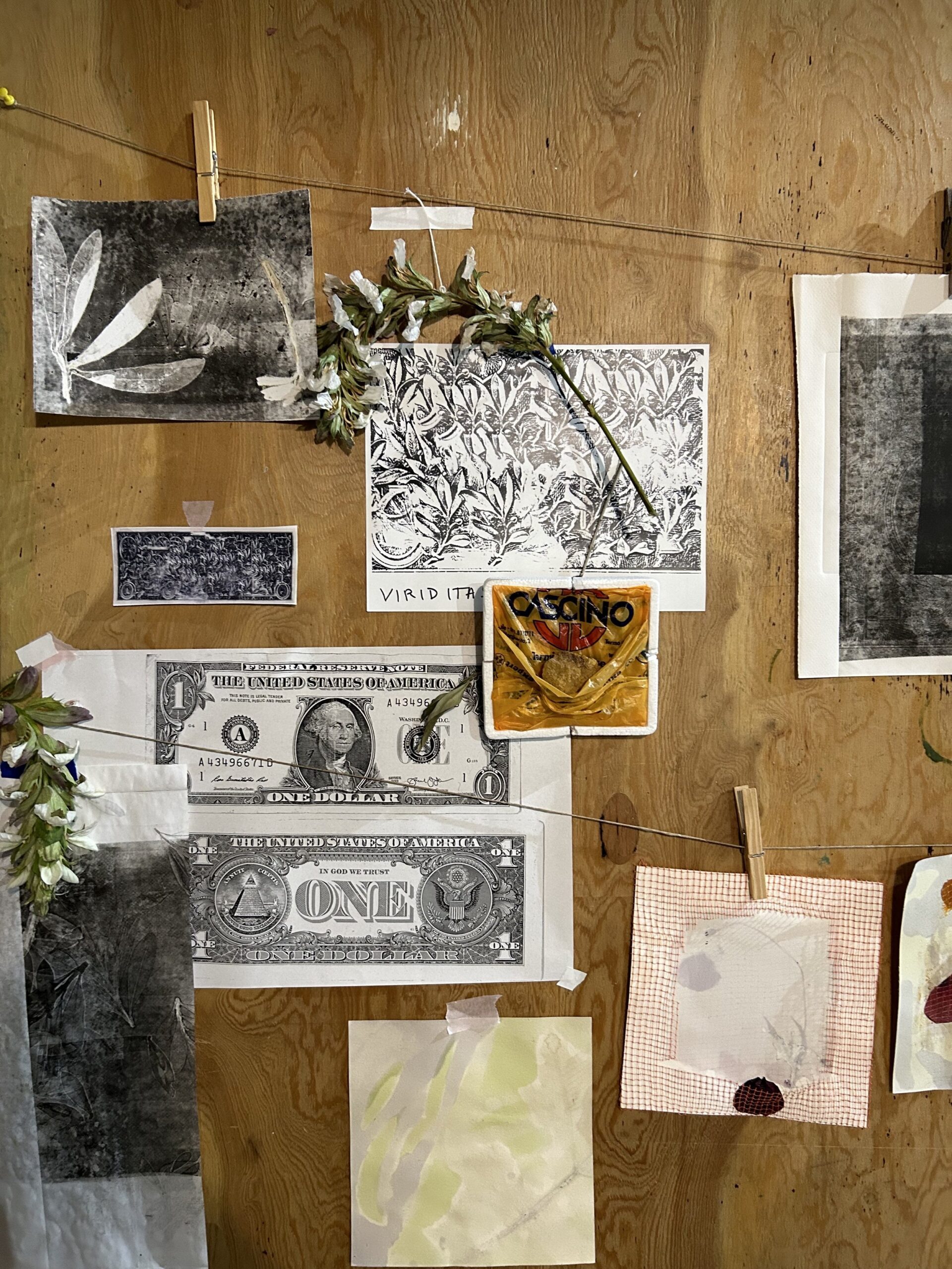 Photo of US bills and various flowers on a wooden table