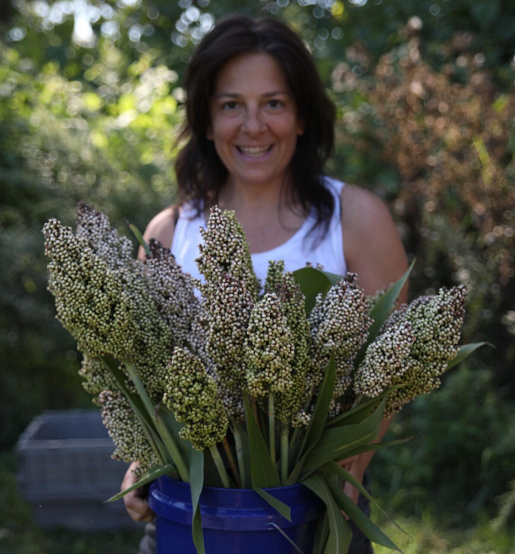 Brooke Singer holds a bucket of sorghum 