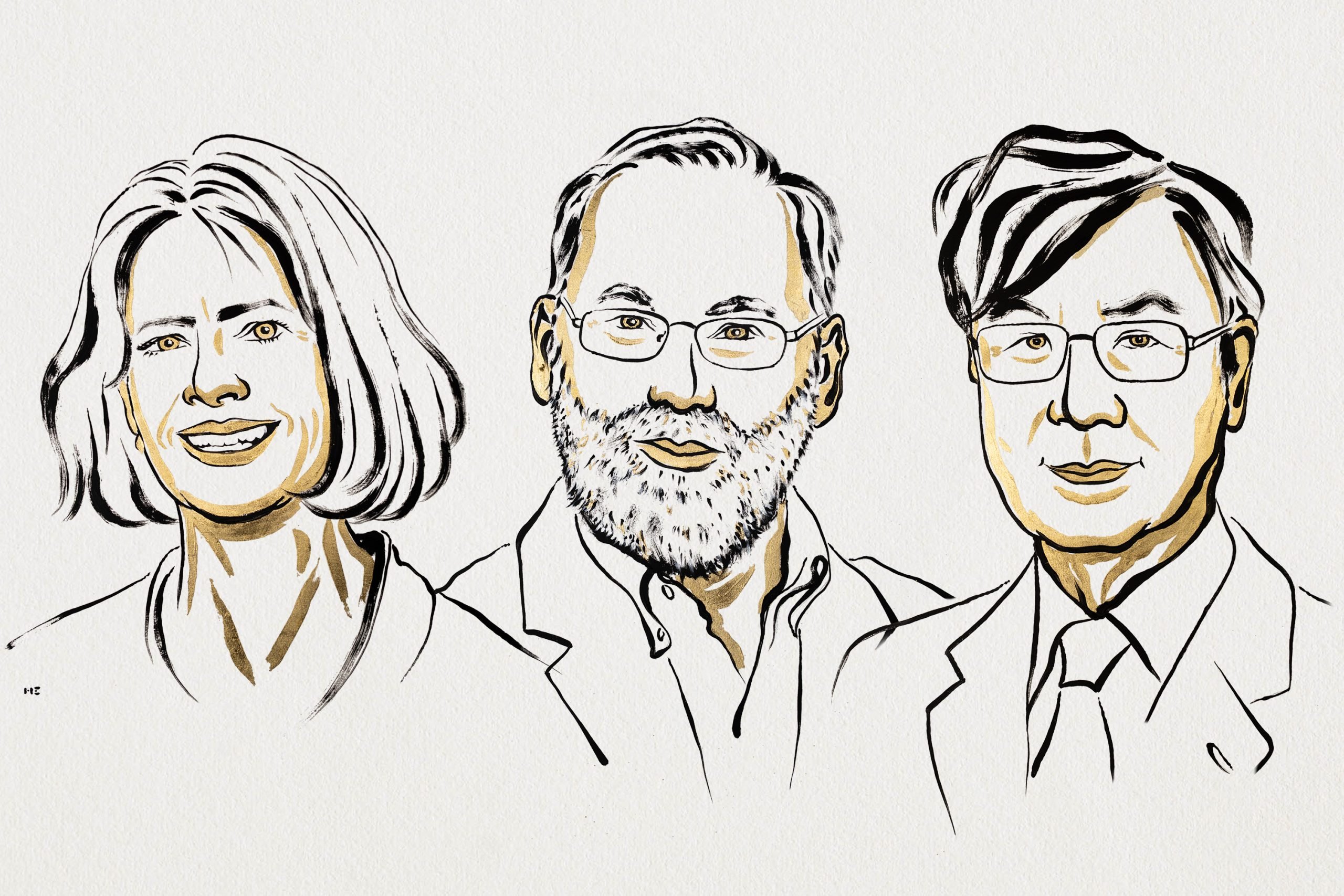 Illustration of Nobel Prize winners Mary Brunkow, Fred Ramsdell and Shimon Sakaguchi.