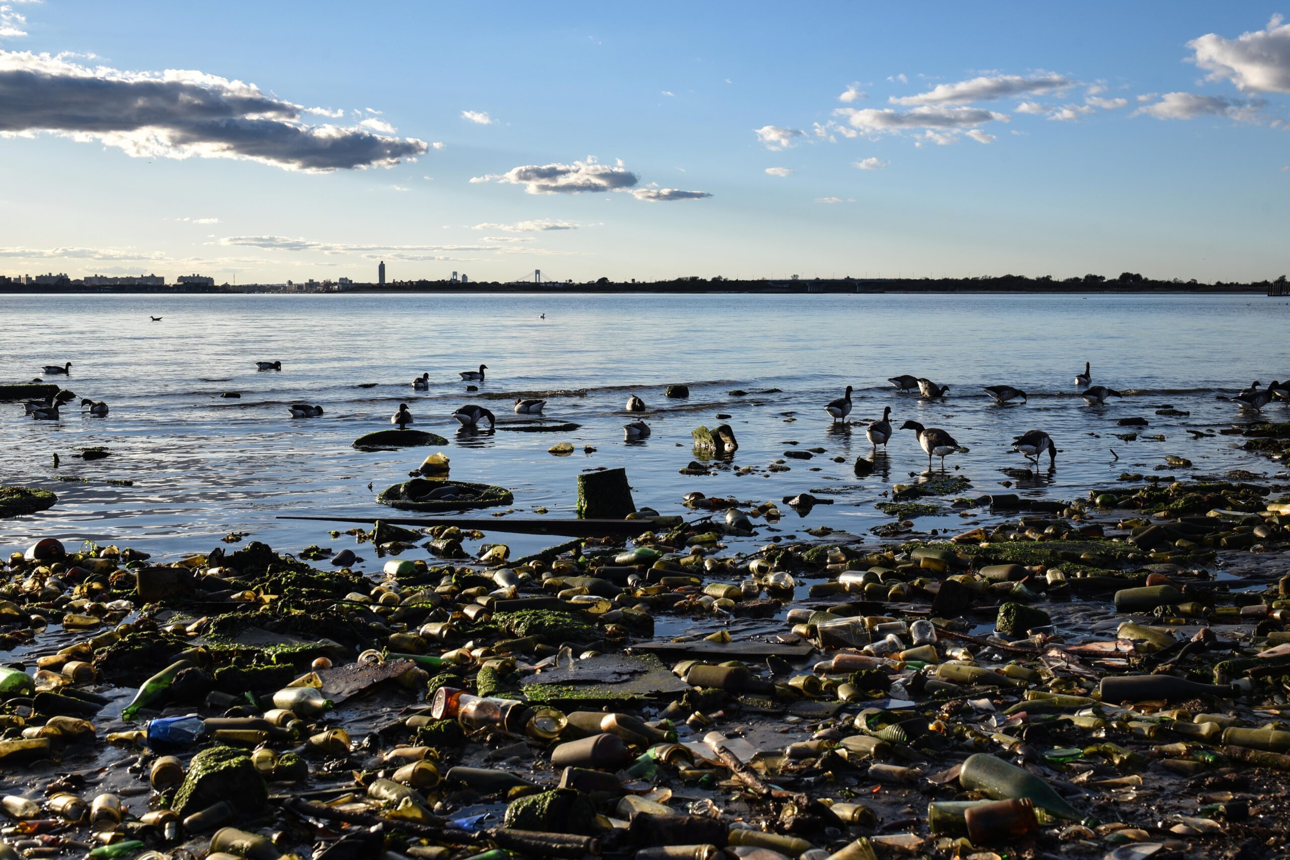 A shoreline with the NYC skyline in the distance.