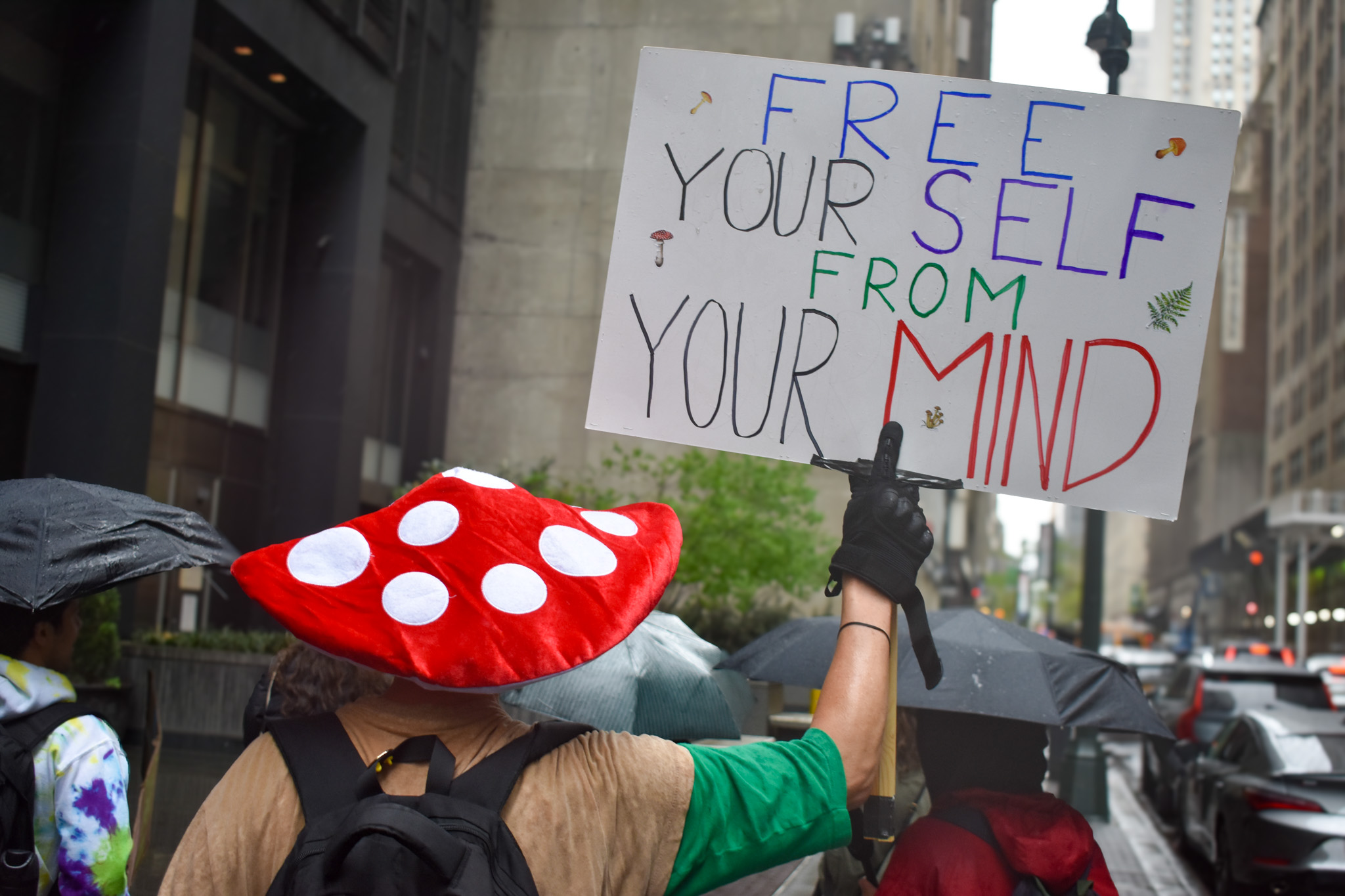 A photo of a man wearing a mushroom hat (photo taken from behind him) holding a sign that reads "FREE YOURSELF FROM YOUR MIND".