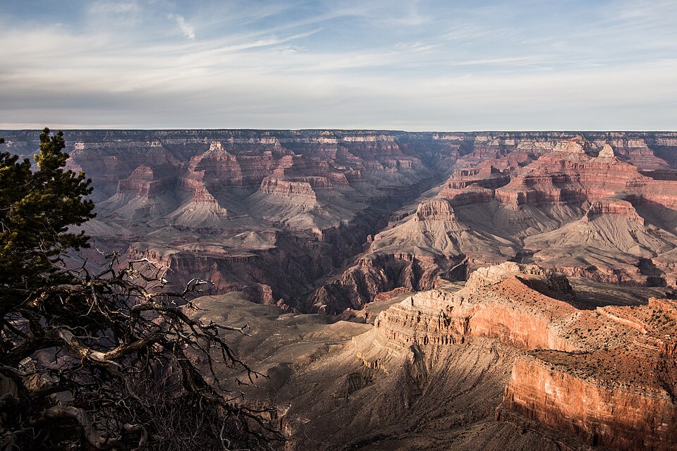 A vista looking out over the Grand Canyon.